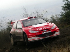 WRC photo #8248