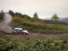 Fabia WRC photo #28921