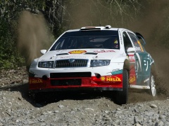 Fabia WRC photo #28923
