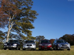 Forester photo #145053