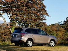 Forester photo #145063