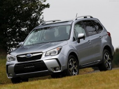 Forester photo #145092