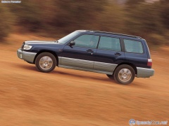 Forester photo #2220