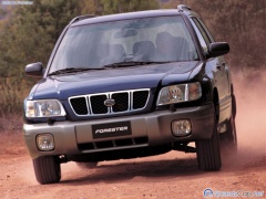Forester photo #2221