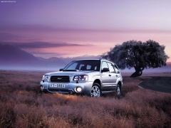 Forester photo #34206