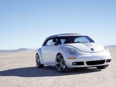 New Beetle Ragster photo #18917
