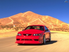 ford mustang cobra r pic #105399