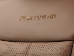 ford super duty platinum pic #121824