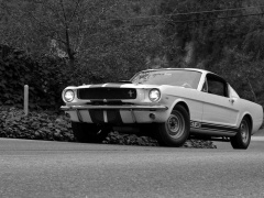Mustang Shelby GT350 photo #122041