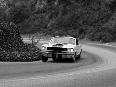 Mustang Shelby GT350 photo #122042