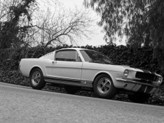 Mustang Shelby GT350 photo #122045