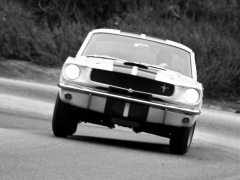 Mustang Shelby GT350 photo #122046