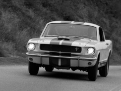 Mustang Shelby GT350 photo #122047
