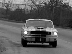 Mustang Shelby GT350 photo #122048