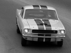 Mustang Shelby GT350 photo #122050