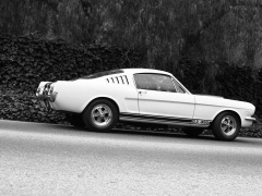 Mustang Shelby GT350 photo #122051