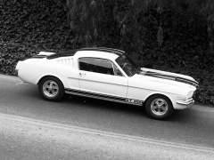 Mustang Shelby GT350 photo #122052