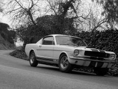 Mustang Shelby GT350 photo #122053