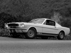 Mustang Shelby GT350 photo #122054