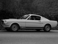 Mustang Shelby GT350 photo #122055