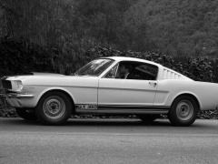 Mustang Shelby GT350 photo #122058