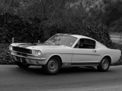 Mustang Shelby GT350 photo #122059
