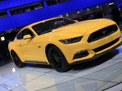 Mustang photo #127572
