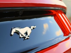 Mustang EcoBoost photo #129751