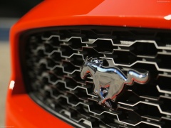 ford mustang ecoboost pic #129752