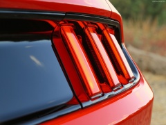 Mustang EcoBoost photo #129755