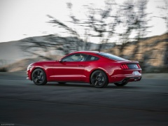 Mustang EcoBoost photo #129775