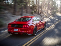 Mustang EcoBoost photo #129778