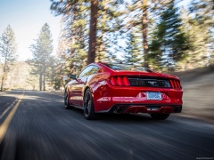 ford mustang ecoboost pic #129779
