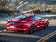 Mustang EcoBoost photo #129781