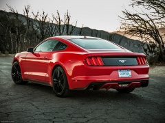 Mustang EcoBoost photo #129783