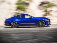 Mustang EcoBoost photo #129785