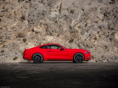 Mustang EcoBoost photo #129788