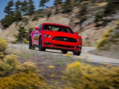 Mustang EcoBoost photo #129792