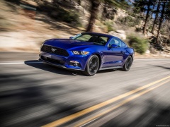 Mustang EcoBoost photo #129793