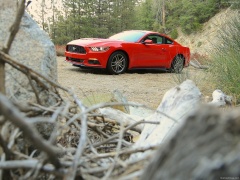 Mustang EcoBoost photo #129796