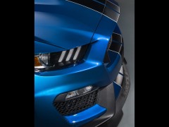 Mustang Shelby GT350R photo #135653