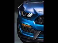 Mustang Shelby GT350R photo #135654