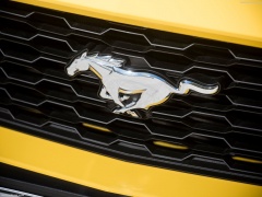 Mustang EU-Version photo #142040