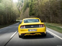 Mustang EU-Version photo #142055