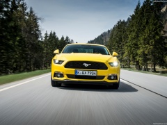 Mustang EU-Version photo #142058