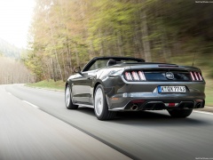 Mustang Convertible EU-Version photo #142097