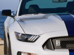 Mustang Shelby GT350 photo #149145