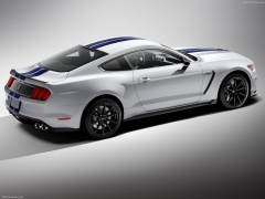 ford mustang shelby gt350 pic #149149