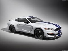 Mustang Shelby GT350 photo #149150