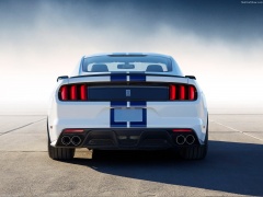 Mustang Shelby GT350 photo #149151
